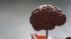 Understanding the Viral Buzz Around fmybrainsout