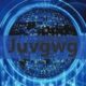 Juvgwg: Unraveling the Mystery Behind the Enigmatic Term