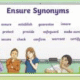 Ensure Synonym: Best Alternatives to Use in Writing and Speech