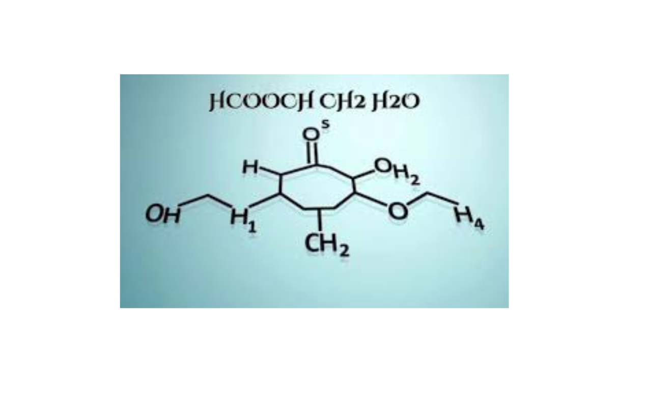 HCOOCH CH2 H2O: Structure, Properties, and Applications