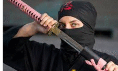 Lwedninja: Everything You Need to Know About the Rising Digital Trend